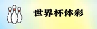 隐私政策